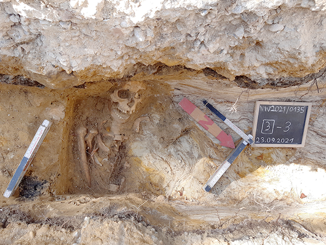 Stadt Aachen - Skelett St. Jakob